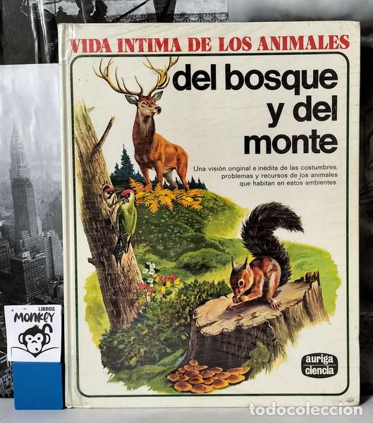 Libros: Vida &iacute;ntima de los animales del bosque y del monte - Rinaldo D. D&acute;Ami (director) - Foto 1