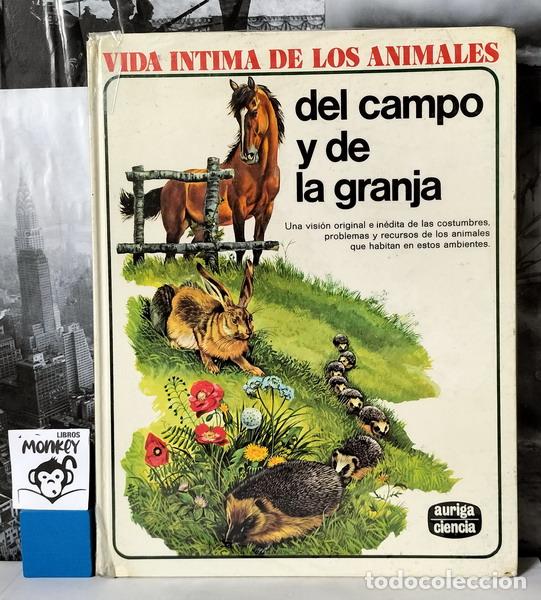 Libros: Vida &iacute;ntima de los animales del campo y de la granja - Rinaldo D. D&acute;Ami (director) - Foto 1