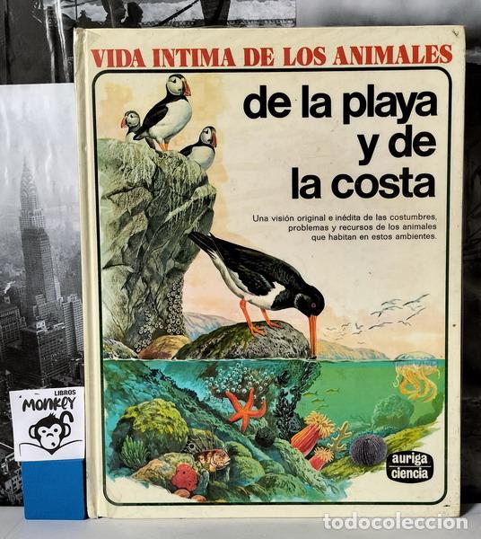 Libros: Vida &iacute;ntima de los animales de la playa y de la costa - Rinaldo D. D&acute;Ami (director) - Foto 1