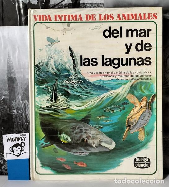 Libros: Vida &iacute;ntima de los animales del mar y de las lagunas - Rinaldo D. D&acute;Ami (director) - Foto 1