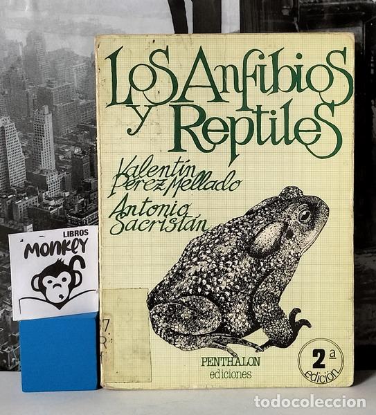 Libros: Los anfbios y reptiles - Valent&iacute;n P&eacute;rez Mellado - Foto 1