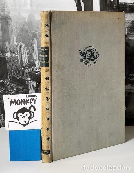 Libros: T&iacute;o Fred en primavera - P. G. Wodehouse - Foto 1
