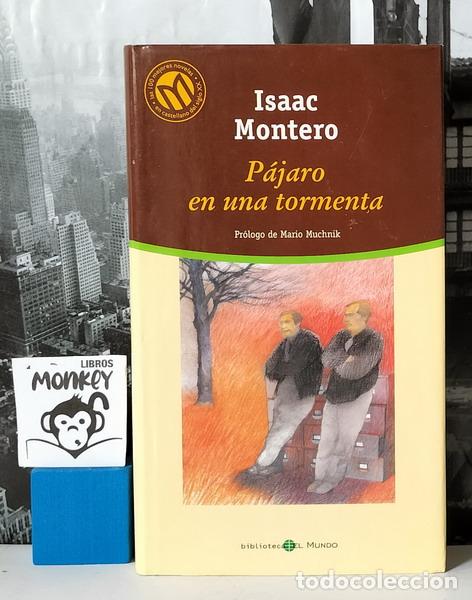 Libros: P&aacute;jaro en una tormenta - Isaac Montero - Foto 1