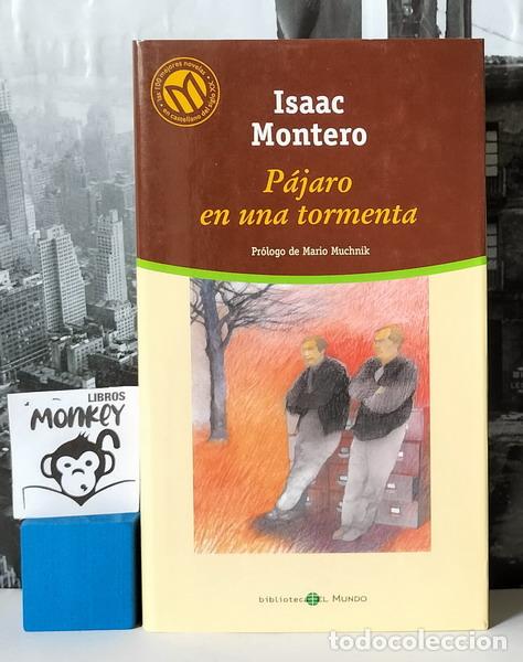 Libros: P&aacute;jaro en una tormenta - Isaac Montero - Foto 1