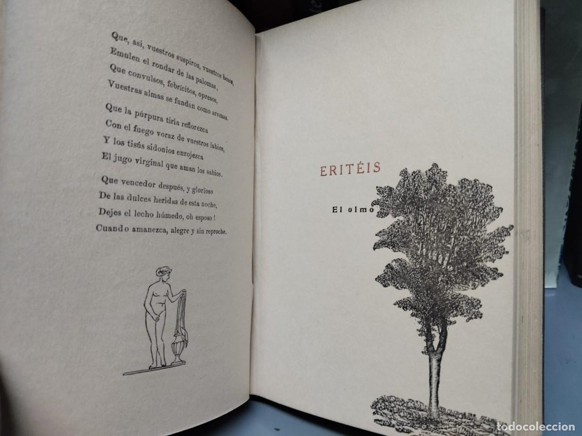 Libros: El jard&iacute;n de las Hesp&eacute;rides - HISPANO, Cornelio (Pseud. de Ismael L&oacute;pez) - Foto 3