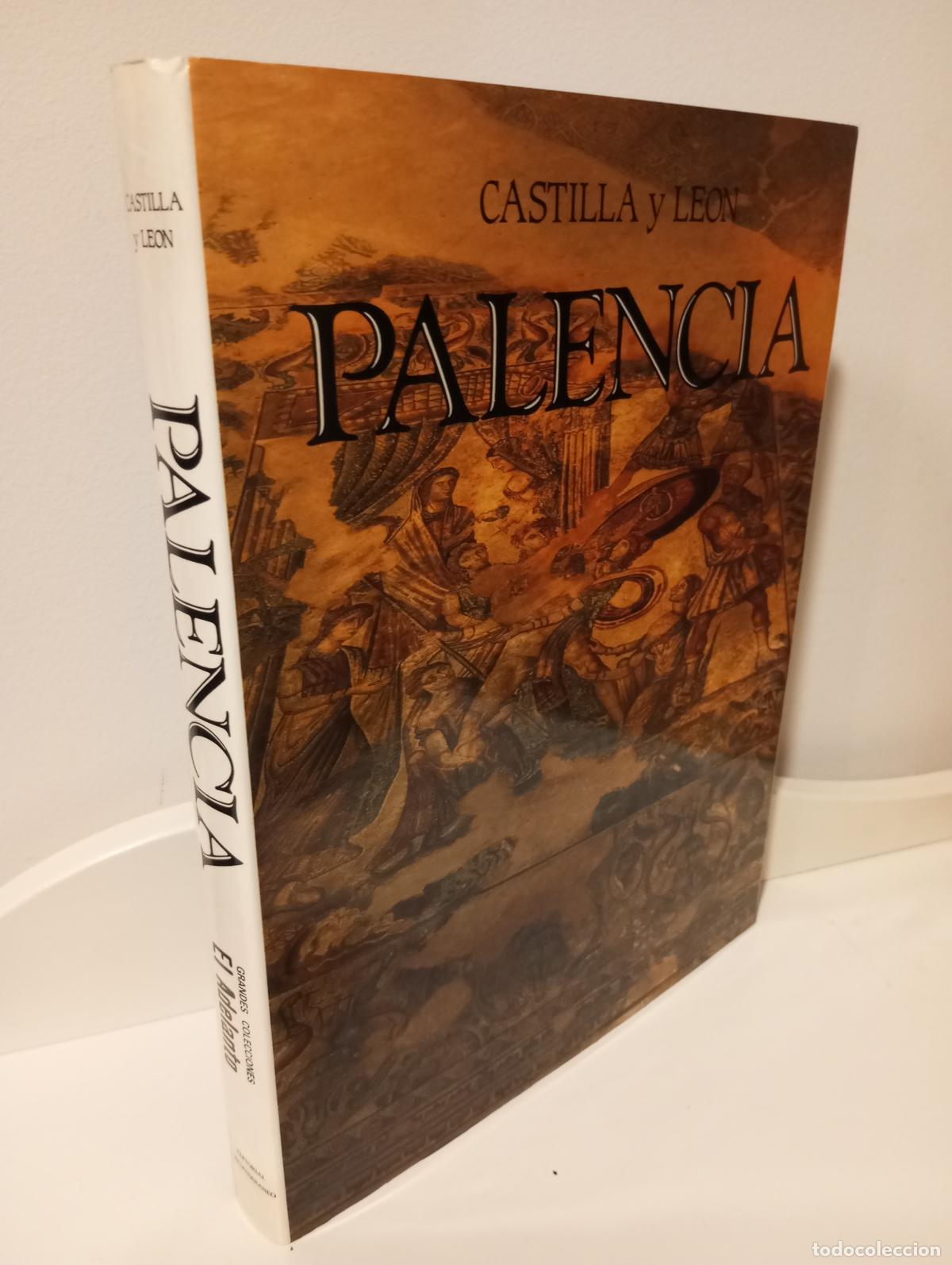 Libros: PALENCIA - VV. AA. - Foto 1