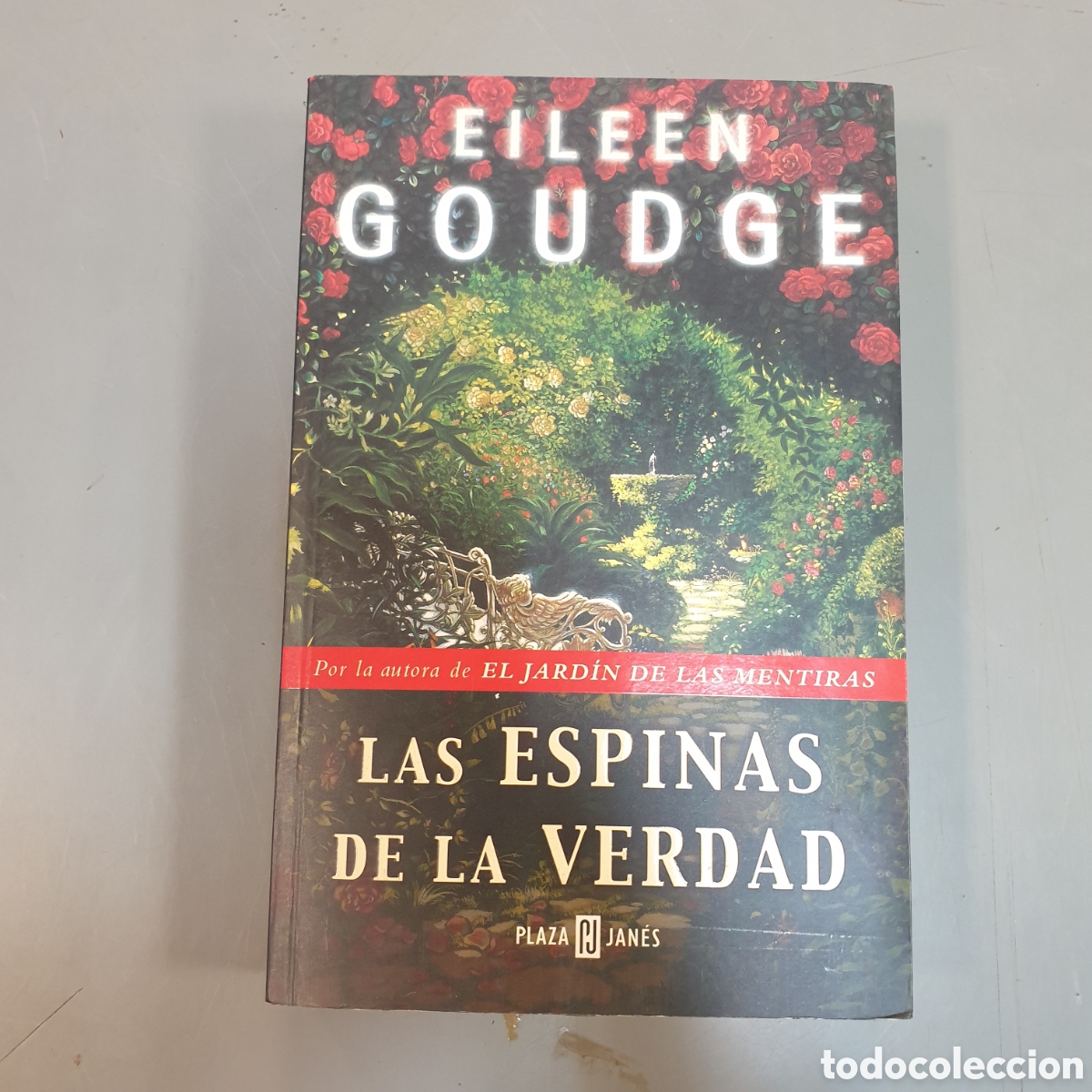 Libros: Las espinas de la verdad EILEEN GOUDGE - Foto 1