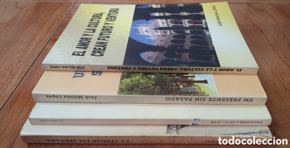 Libros: 4 Libros � Regi&oacute;n de Murcia - Jos&eacute; Molina L&oacute;pez - Foto 2
