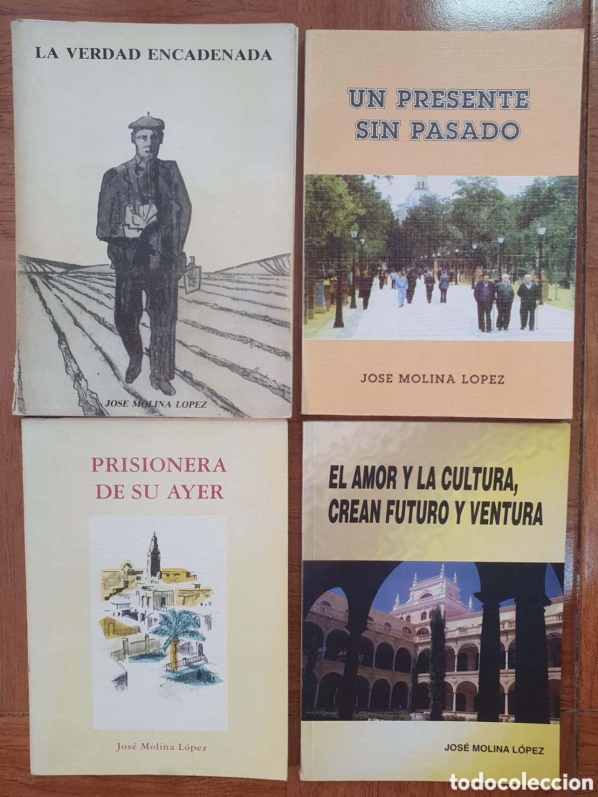 Libros: 4 Libros � Regi&oacute;n de Murcia - Jos&eacute; Molina L&oacute;pez - Foto 1