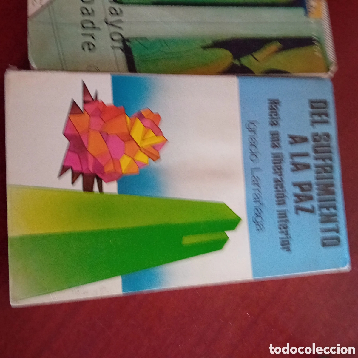 Libros: Del sufrimiento a la paz - Foto 1
