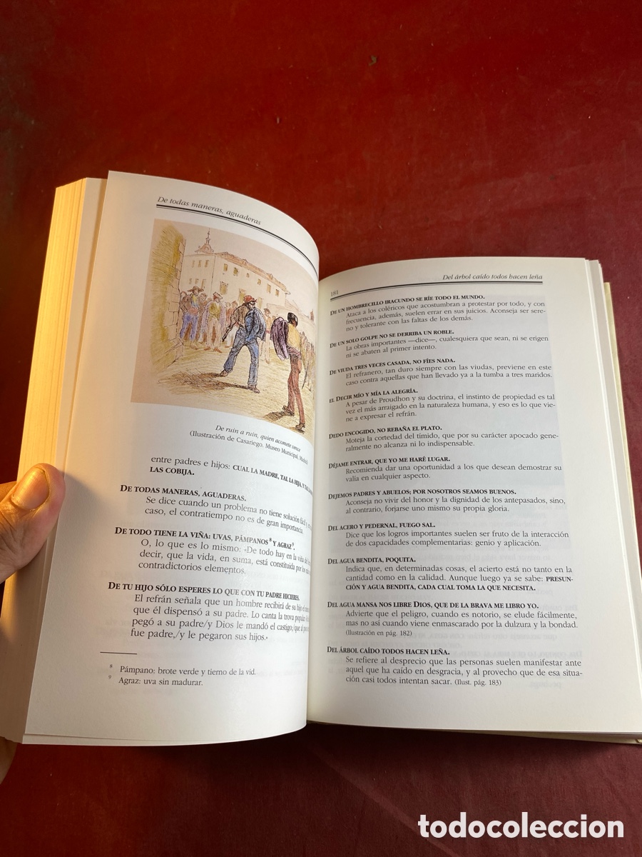 Libros: Diccionario de refranes - Foto 3