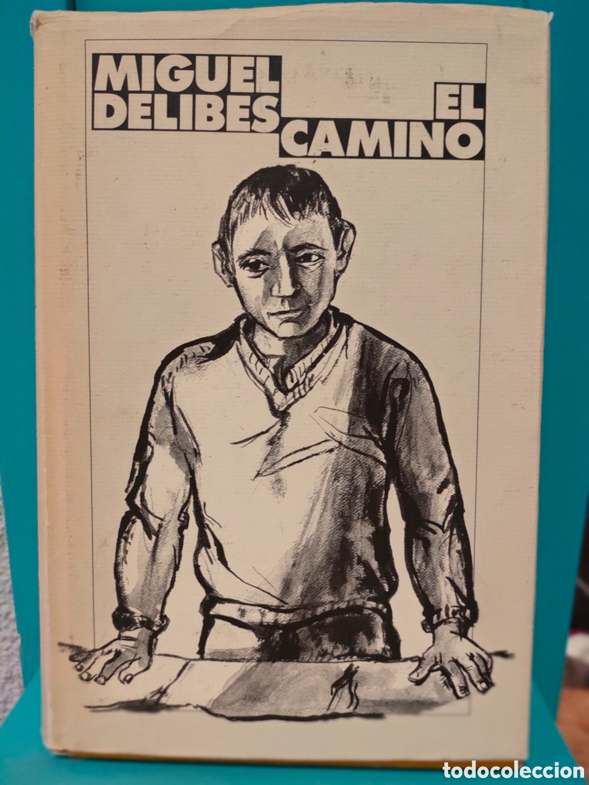 Libros: El Camino. Miguel Delibes - Foto 1