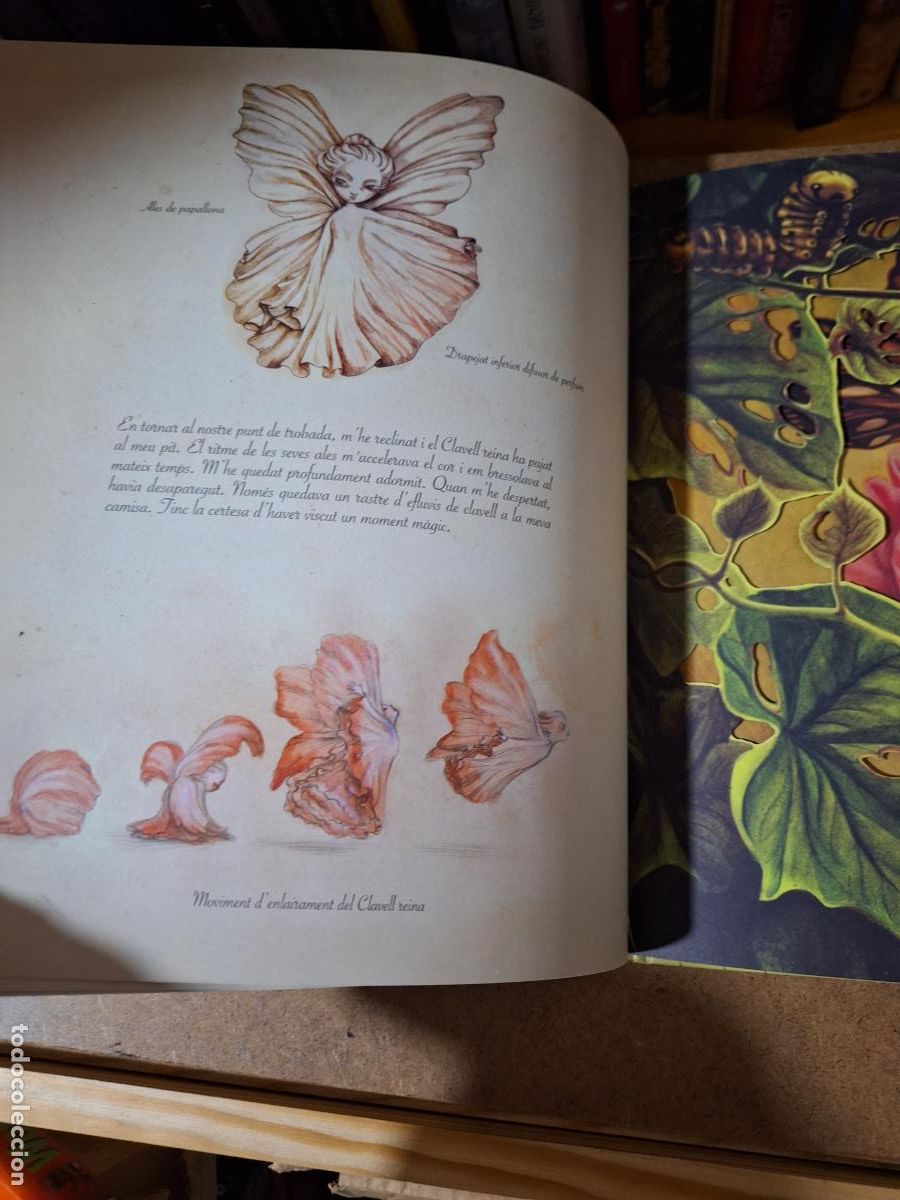 Libros: L&rsquo;herbari de les fades - Benjamin Lacombe - Foto 3