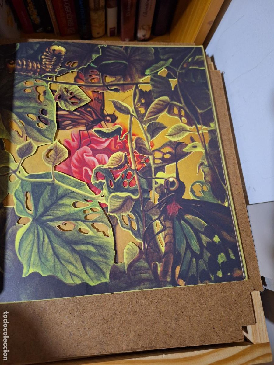 Libros: L&rsquo;herbari de les fades - Benjamin Lacombe - Foto 4