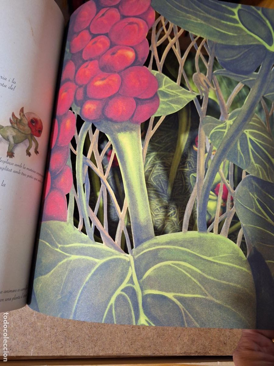 Libros: L&rsquo;herbari de les fades - Benjamin Lacombe - Foto 5