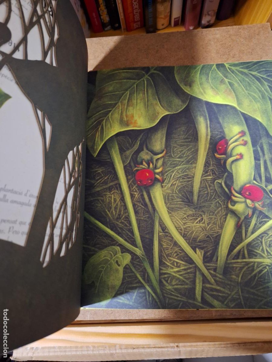 Libros: L&rsquo;herbari de les fades - Benjamin Lacombe - Foto 6