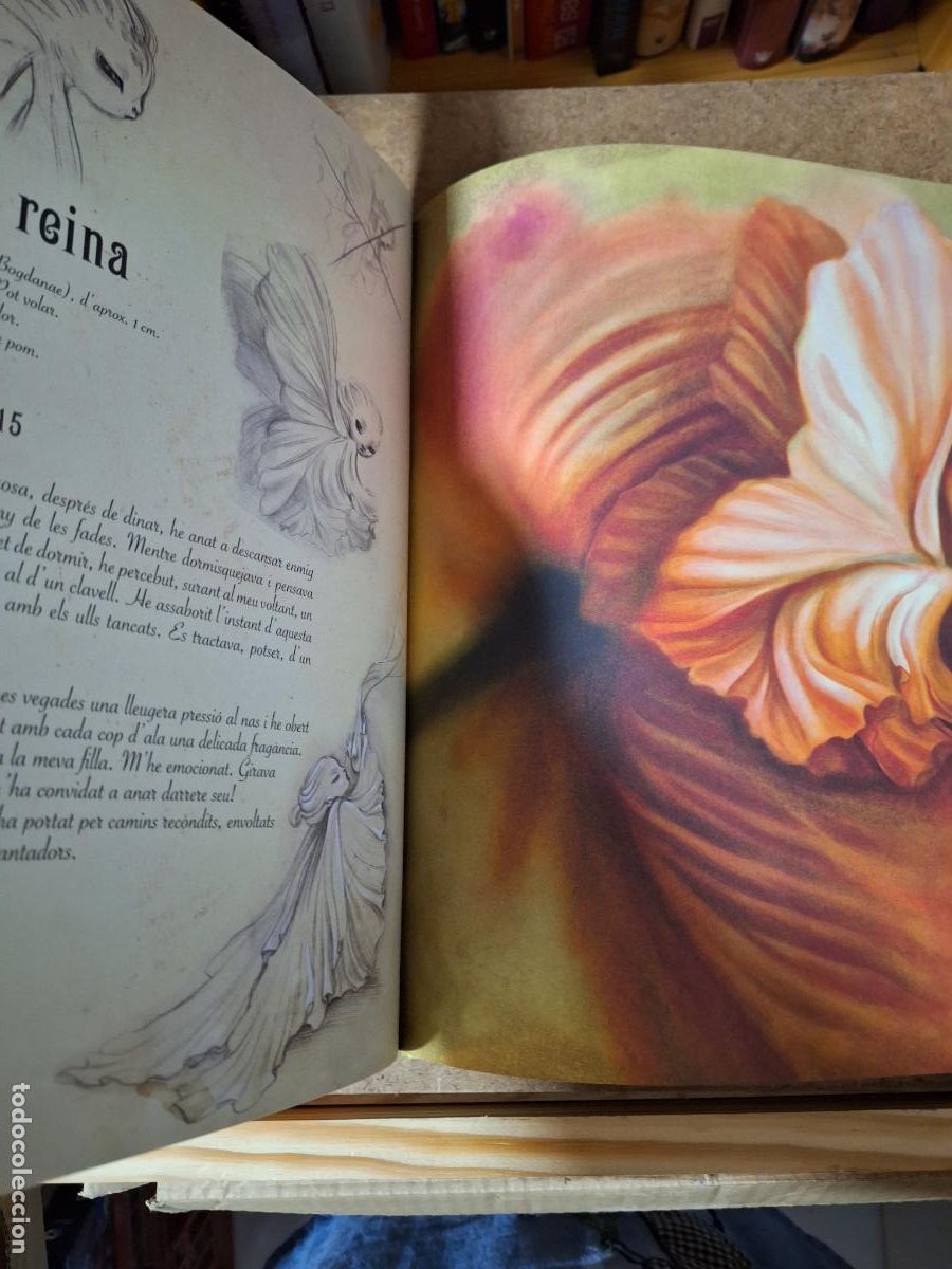 Libros: L&rsquo;herbari de les fades - Benjamin Lacombe - Foto 7