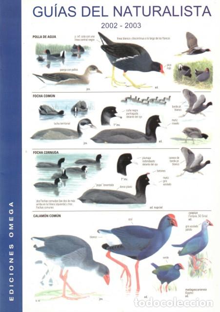 Libros: GU&Iacute;AS DEL NATURALISTA 2002 - 2003 (Cat&aacute;logo) - Ediciones Omega - Foto 1