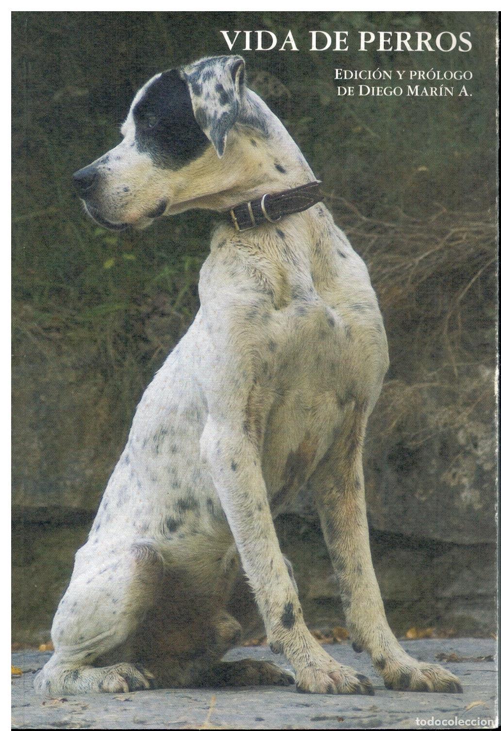 Libros: VIDA DE PERROS. POEMAS PERRUNOS. Edici&oacute;n y pr&oacute;logo de... - Foto 1