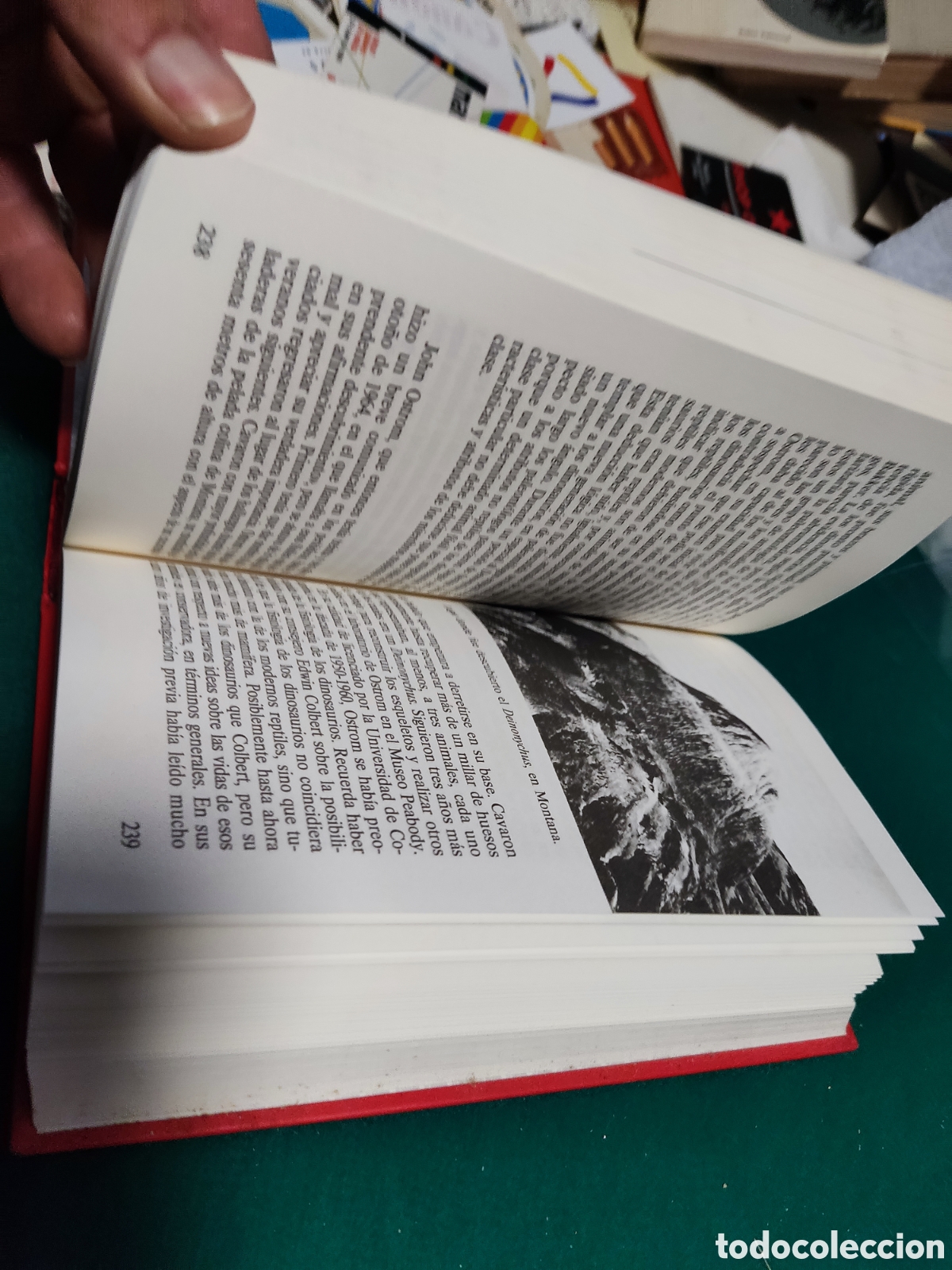 Libros: Libro el enigma de los dinosaurios de j.n.Wilford - Foto 4