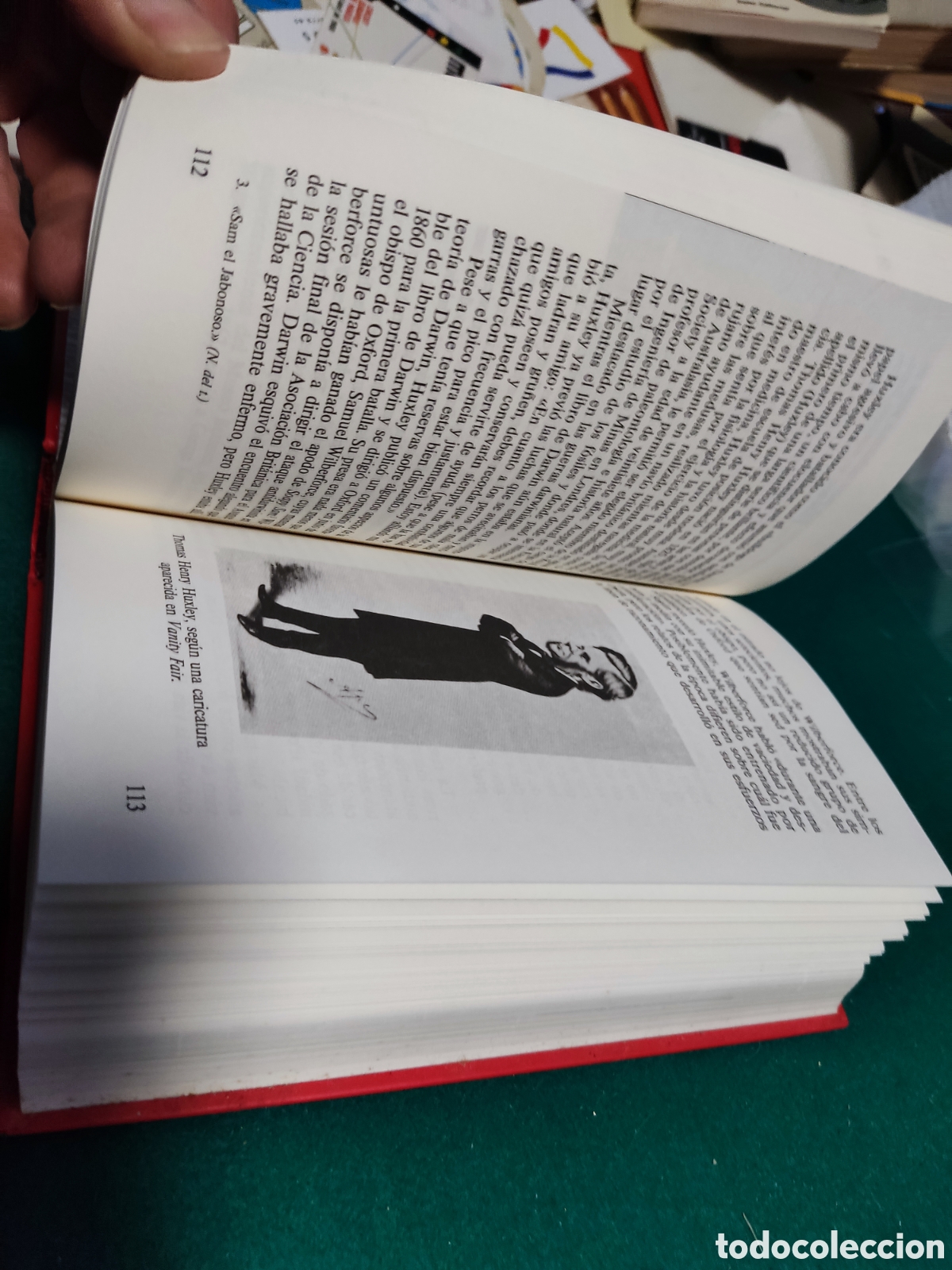 Libros: Libro el enigma de los dinosaurios de j.n.Wilford - Foto 5