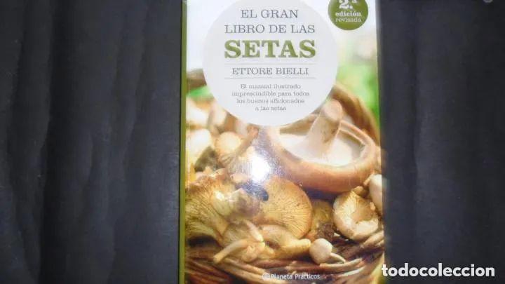 Libros: El gran libro de las setas, Ettore Bielli, Ed. Planeta - Ettore Bielli - Foto 1