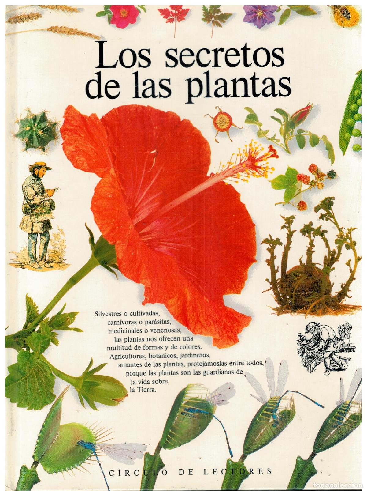 Libros: LOS SECRETOS DE LAS PLANTAS. - Foto 1