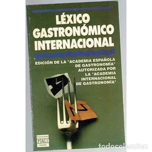 B&uuml;cher: Lexico Gastronomico Internacional - Academia Espa&ntilde;ola de Gastronomia - Plaza & Janes - 1989, 1&ordf; ed.