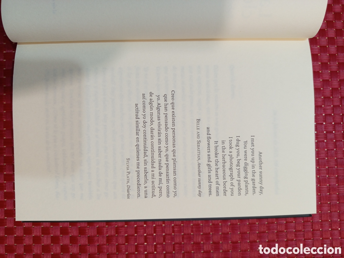 Libros: La chica clept&oacute;mana. Sabela Aldrey Dono - Foto 3