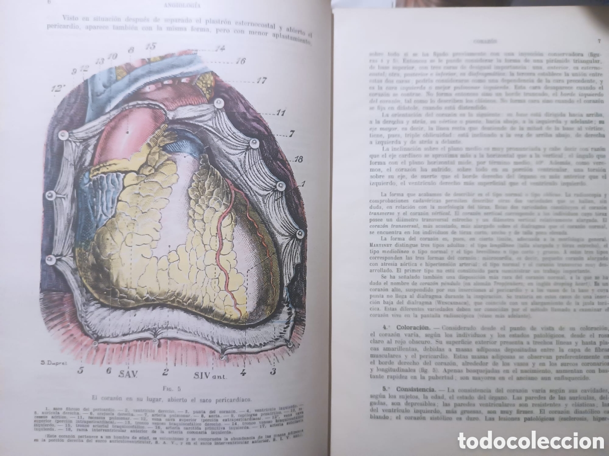 Libros: Anatom&iacute;a Humana, Latarjet - Foto 2