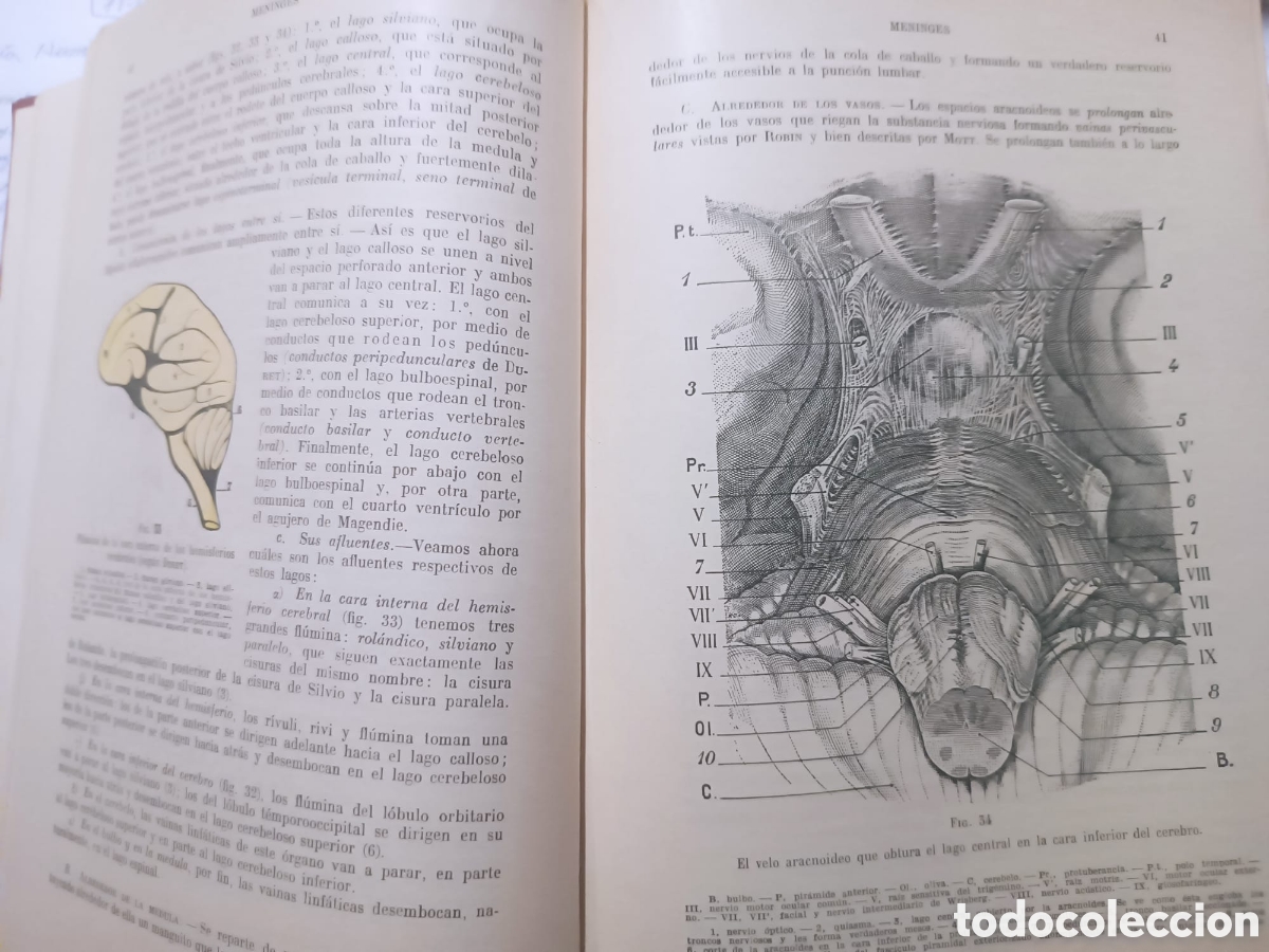 Libros: Anatom&iacute;a Humana, Latarjet - Foto 3