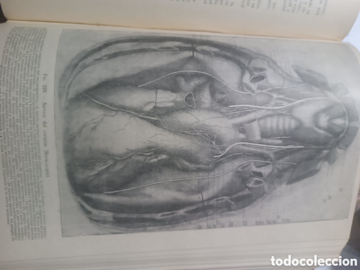 Libros: Anatom&iacute;a Humana, Latarjet - Foto 4