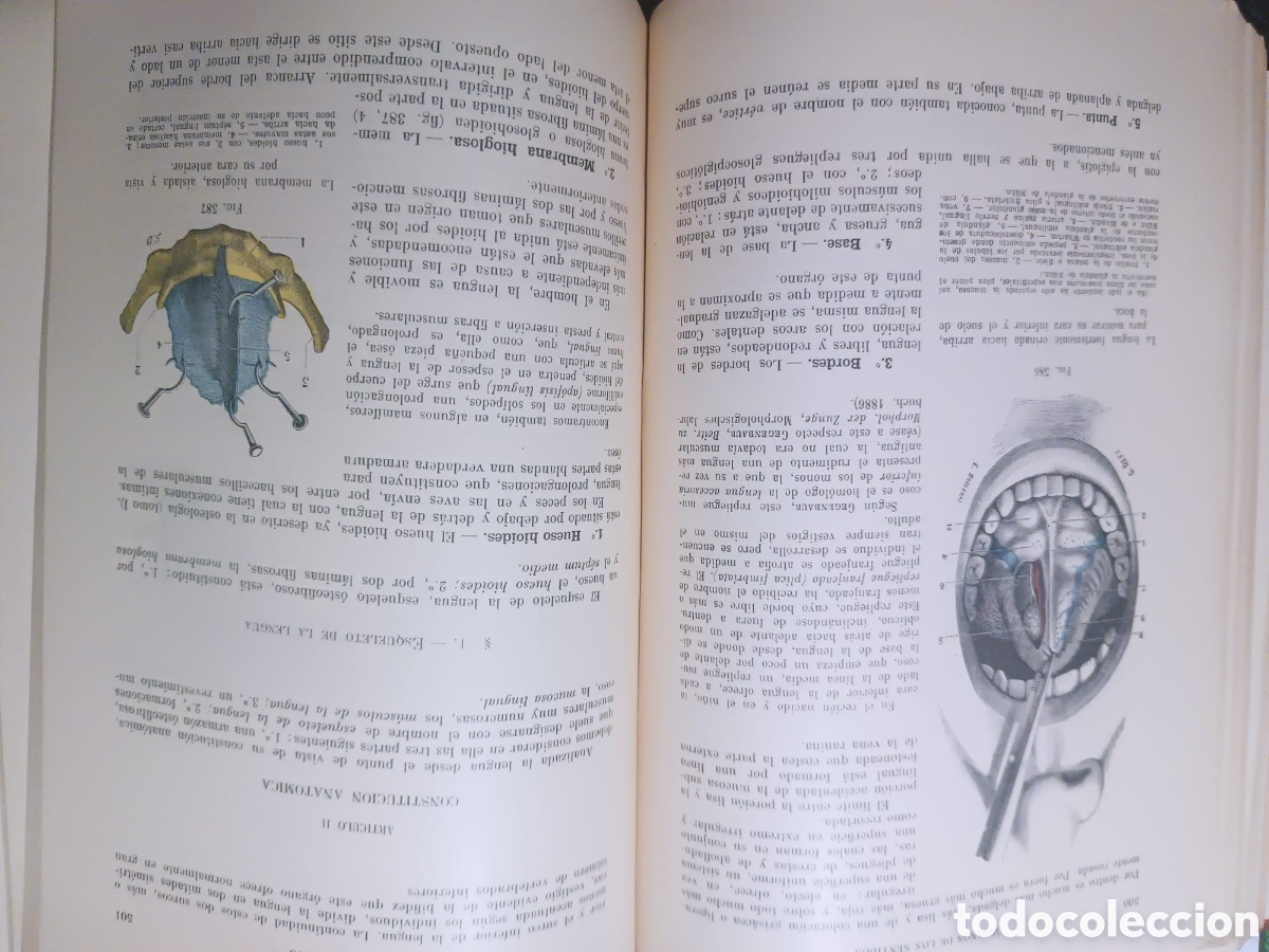 Libros: Anatom&iacute;a Humana, Latarjet - Foto 5