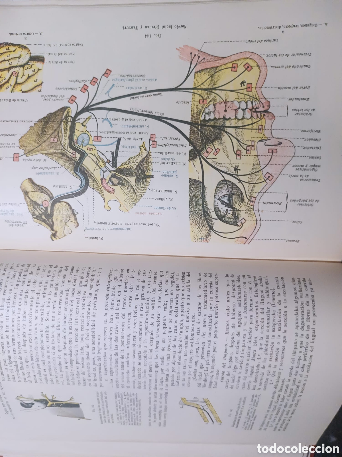 Libros: Anatom&iacute;a Humana, Latarjet - Foto 6