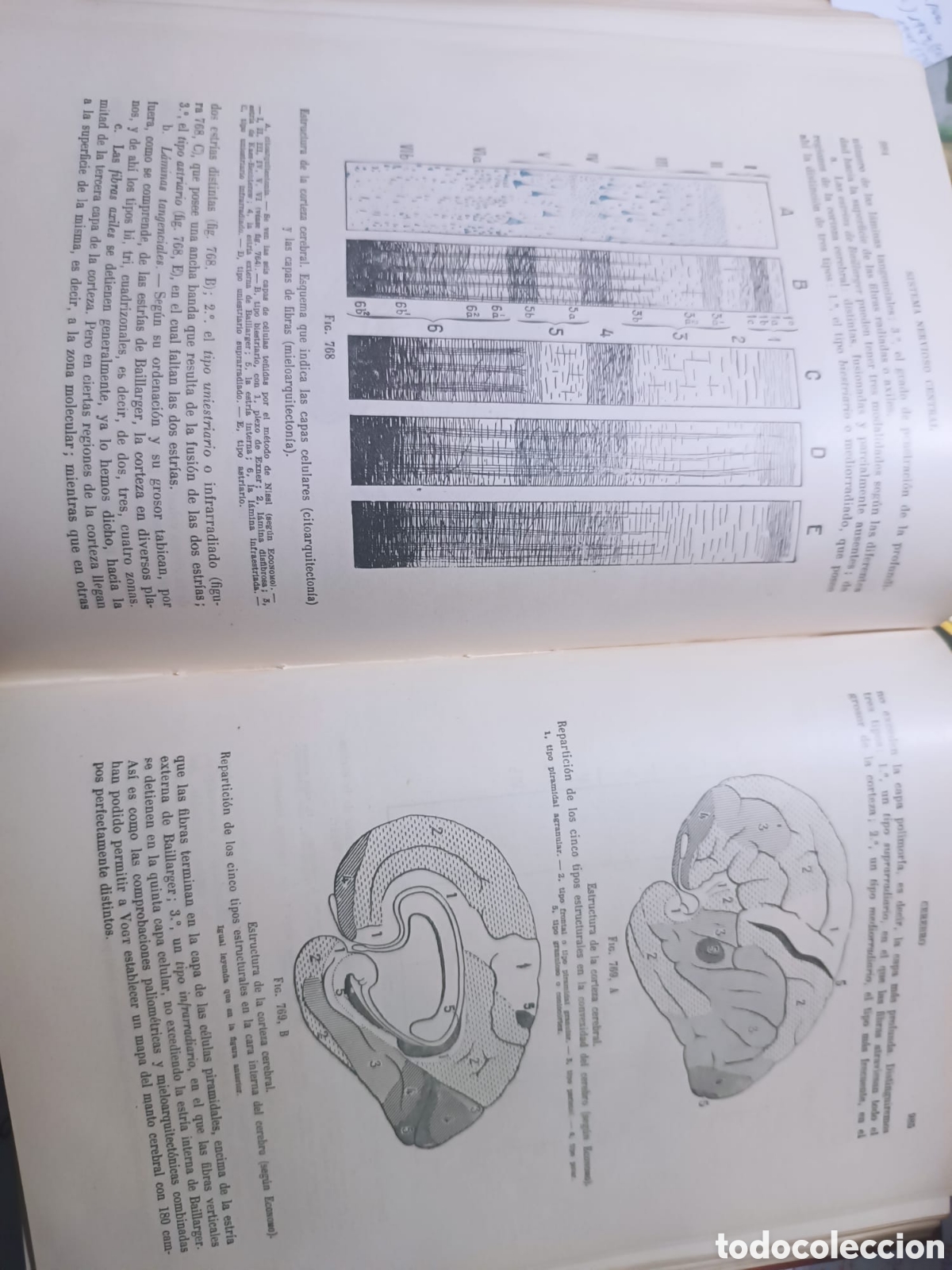 Libros: Anatom&iacute;a Humana, Latarjet - Foto 8