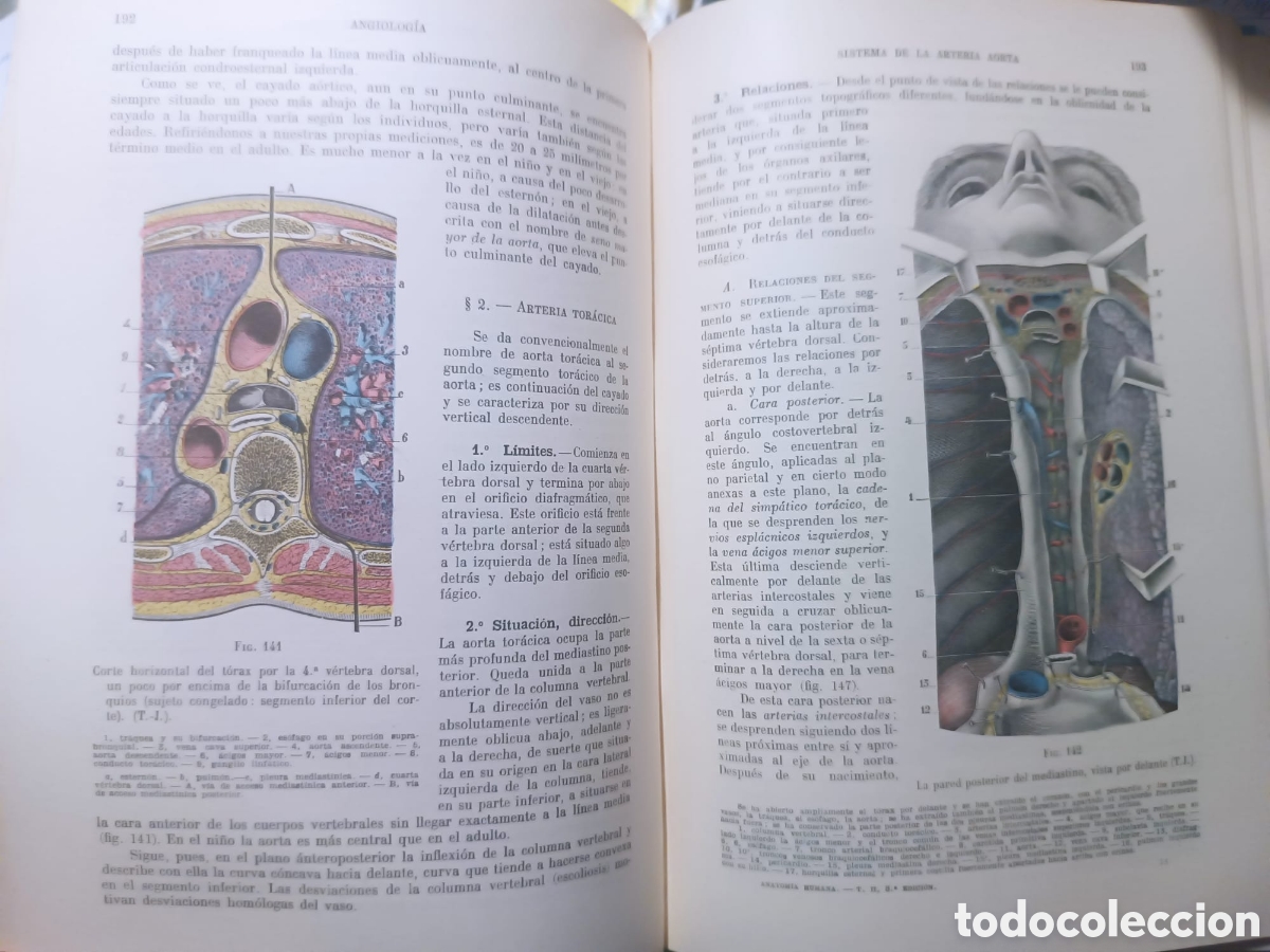 Libros: Anatom&iacute;a Humana, Latarjet - Foto 9