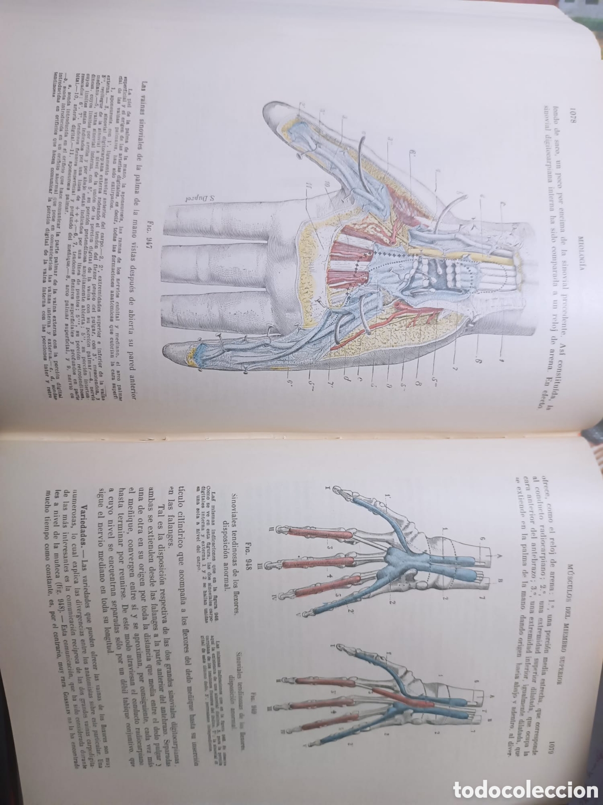 Libros: Anatom&iacute;a Humana, Latarjet - Foto 11