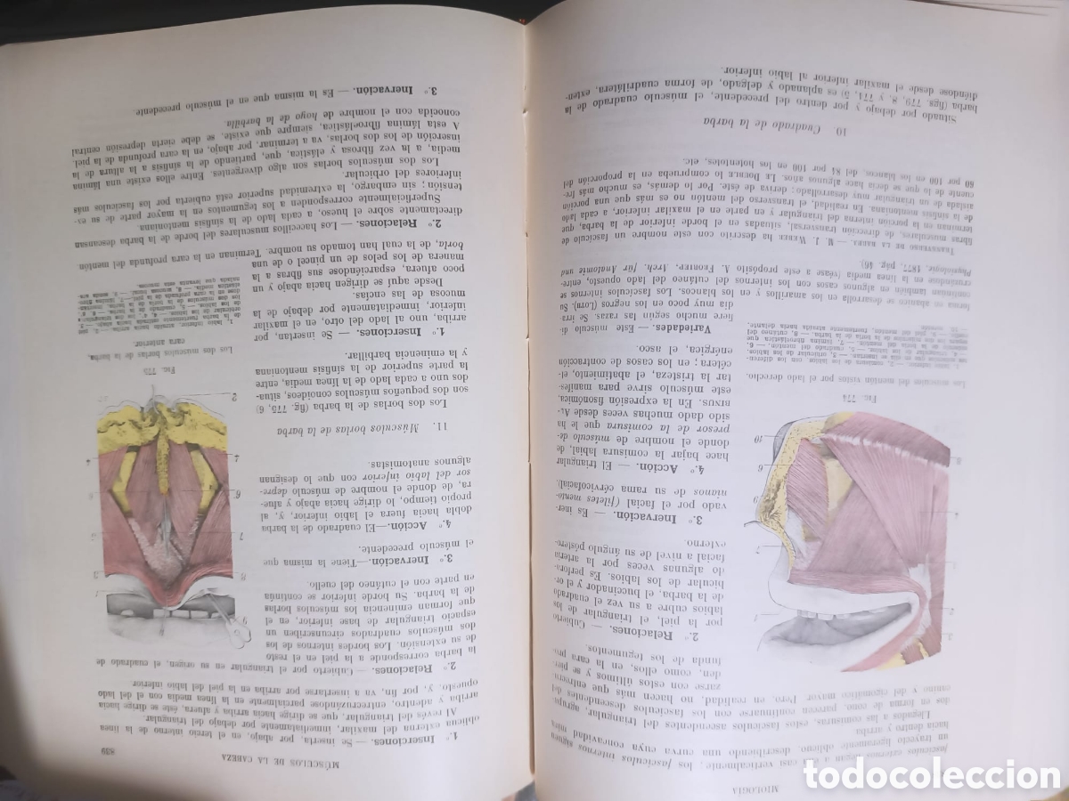 Libros: Anatom&iacute;a Humana, Latarjet - Foto 14