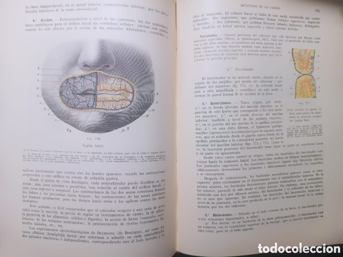 Libros: Anatom&iacute;a Humana, Latarjet - Foto 15