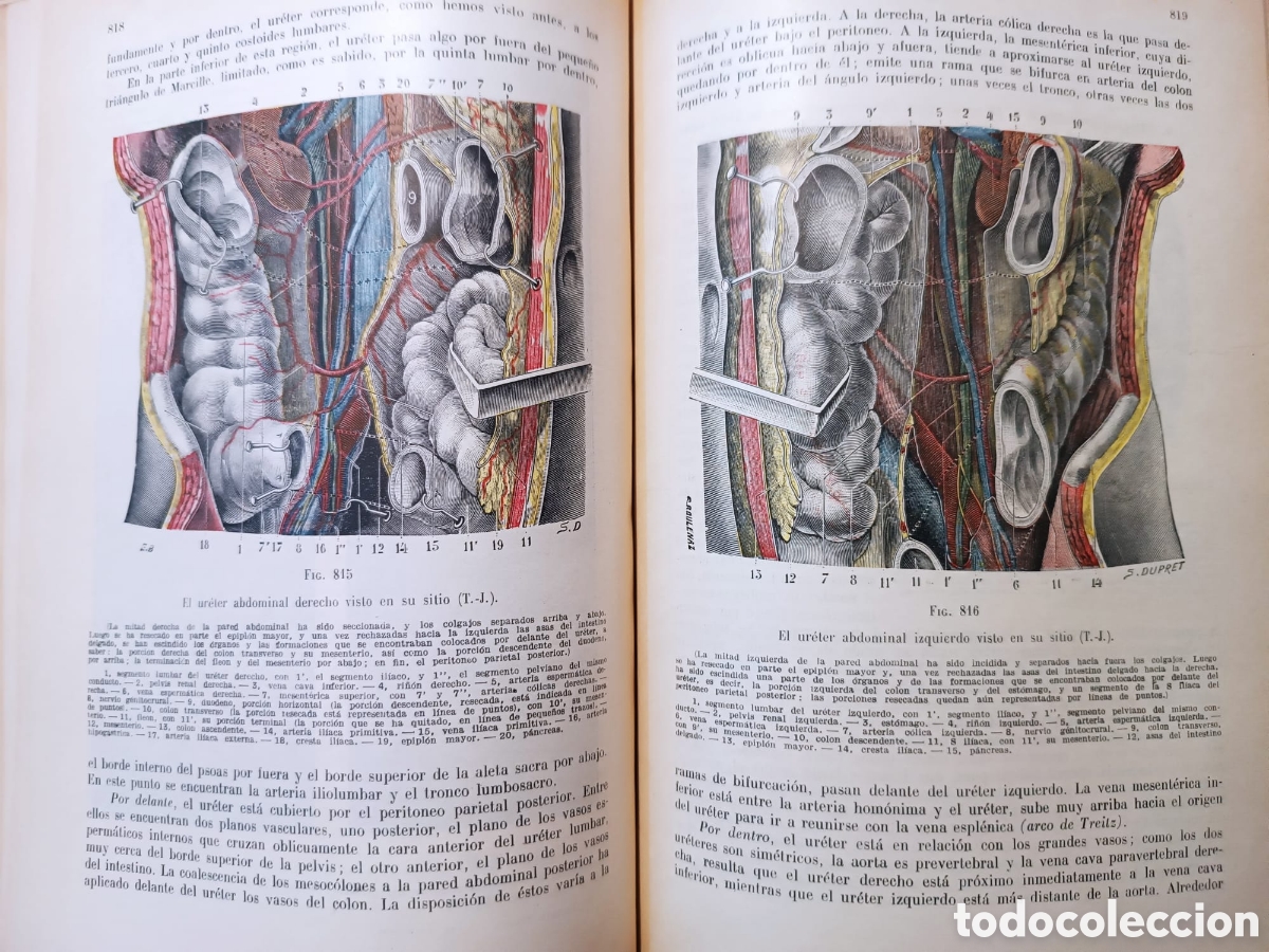 Libros: Anatom&iacute;a Humana, Latarjet - Foto 18