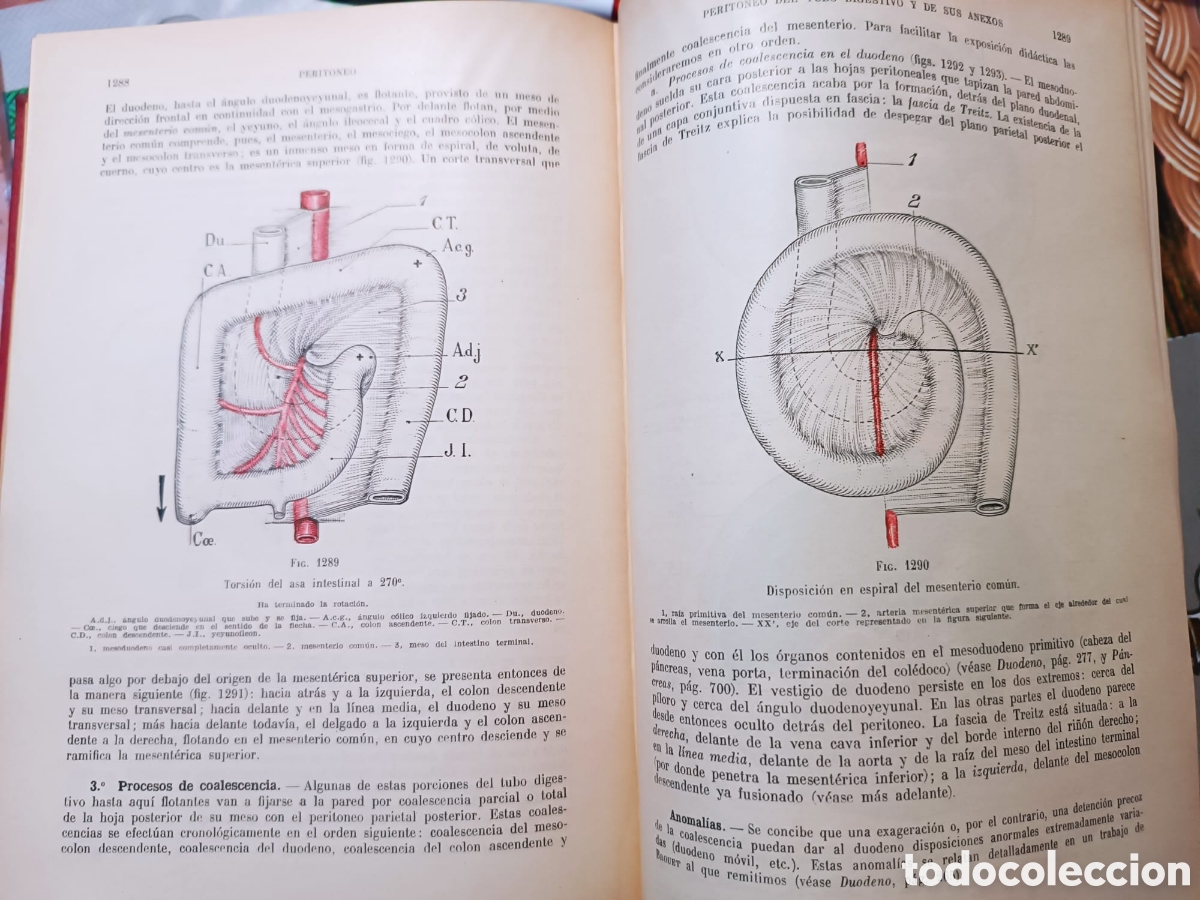 Libros: Anatom&iacute;a Humana, Latarjet - Foto 22