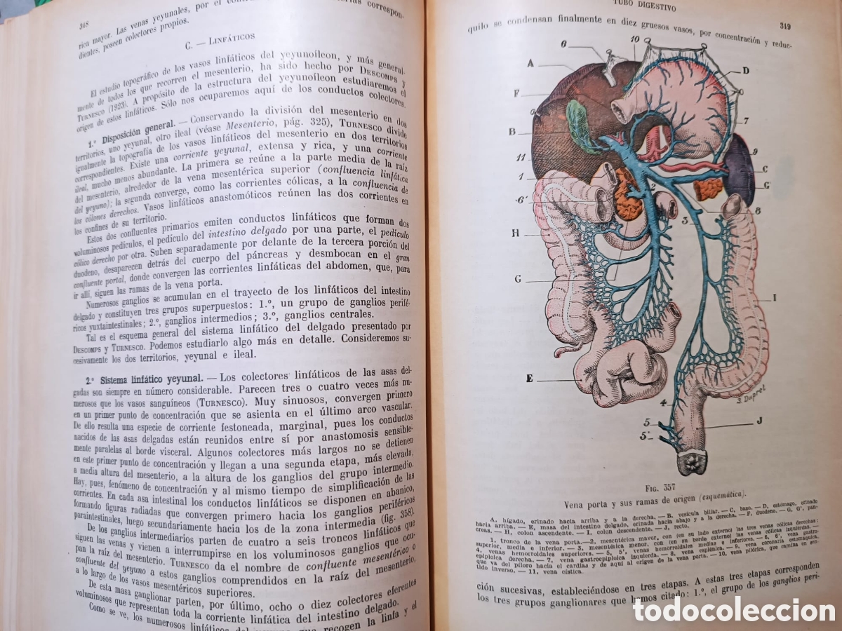 Libros: Anatom&iacute;a Humana, Latarjet - Foto 23