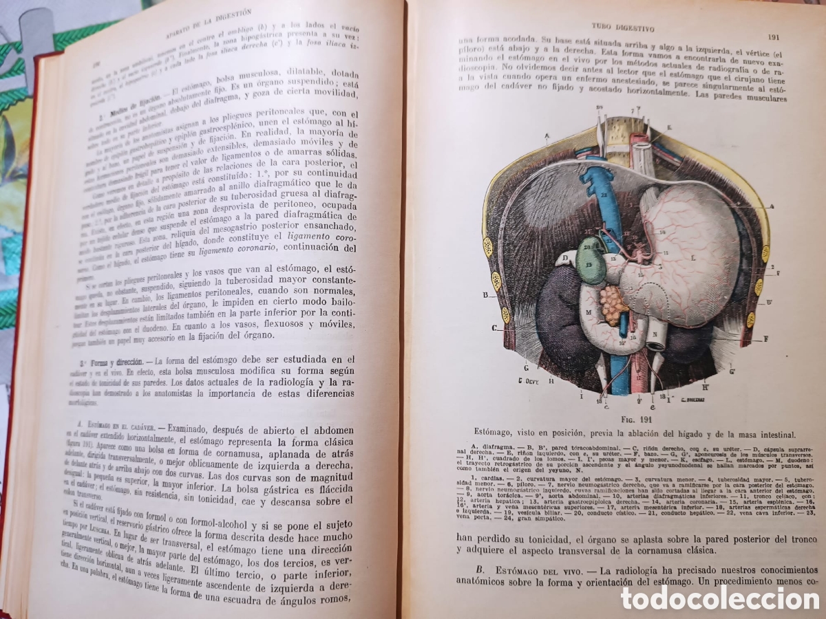 Libros: Anatom&iacute;a Humana, Latarjet - Foto 24