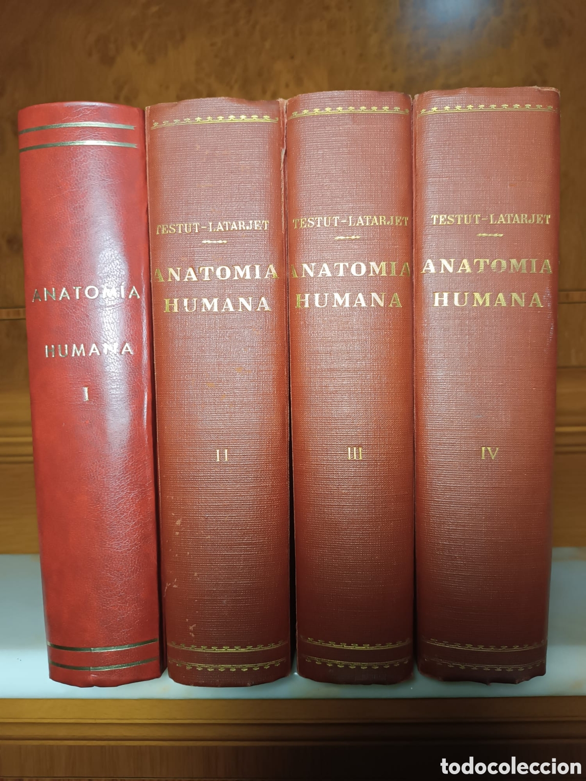 Libros: Anatom&iacute;a Humana, Latarjet - Foto 1