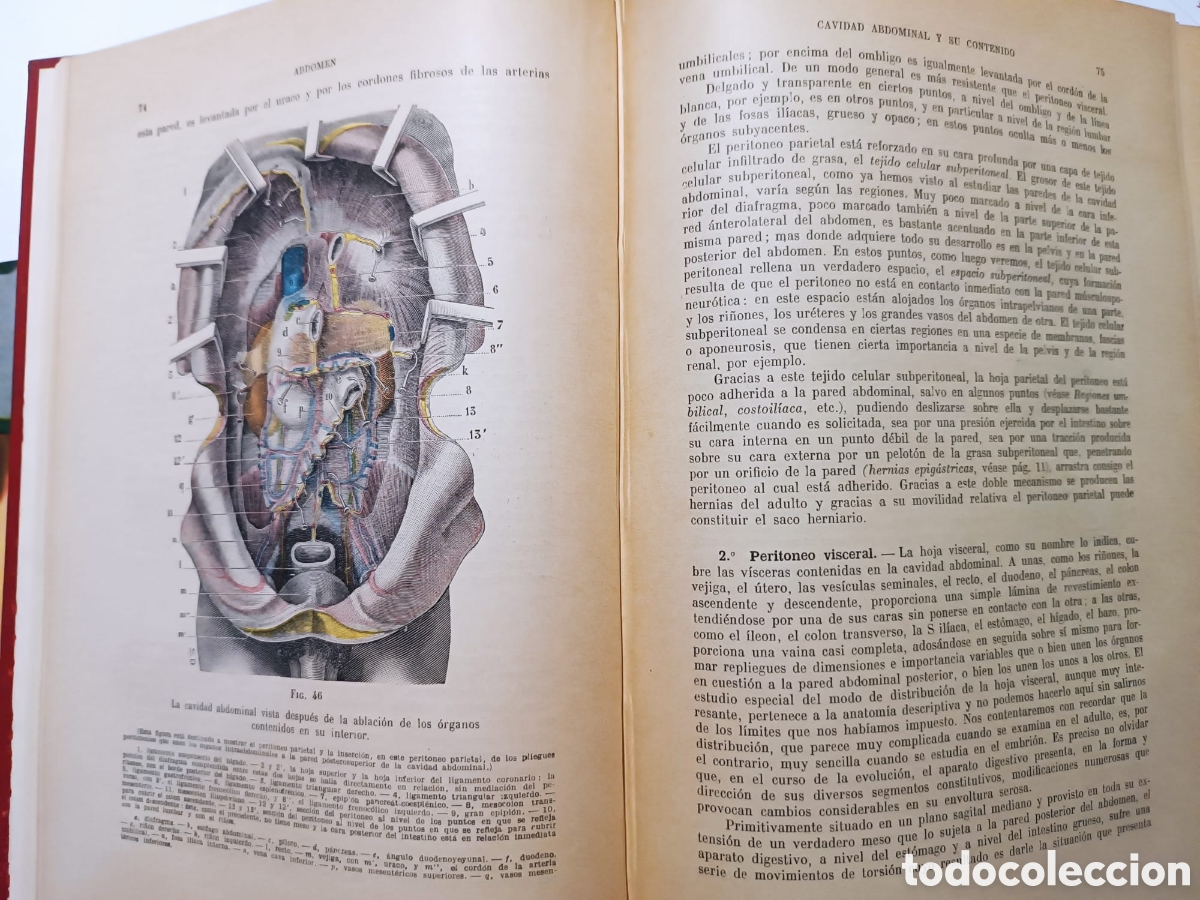 Libros: Tratado de Anatom&iacute;a Topogr&aacute;fica - Foto 4