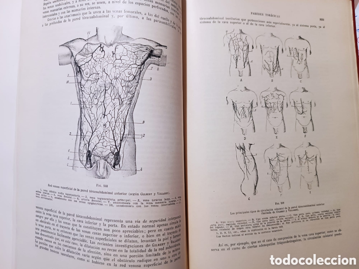 Libros: Tratado de Anatom&iacute;a Topogr&aacute;fica - Foto 6