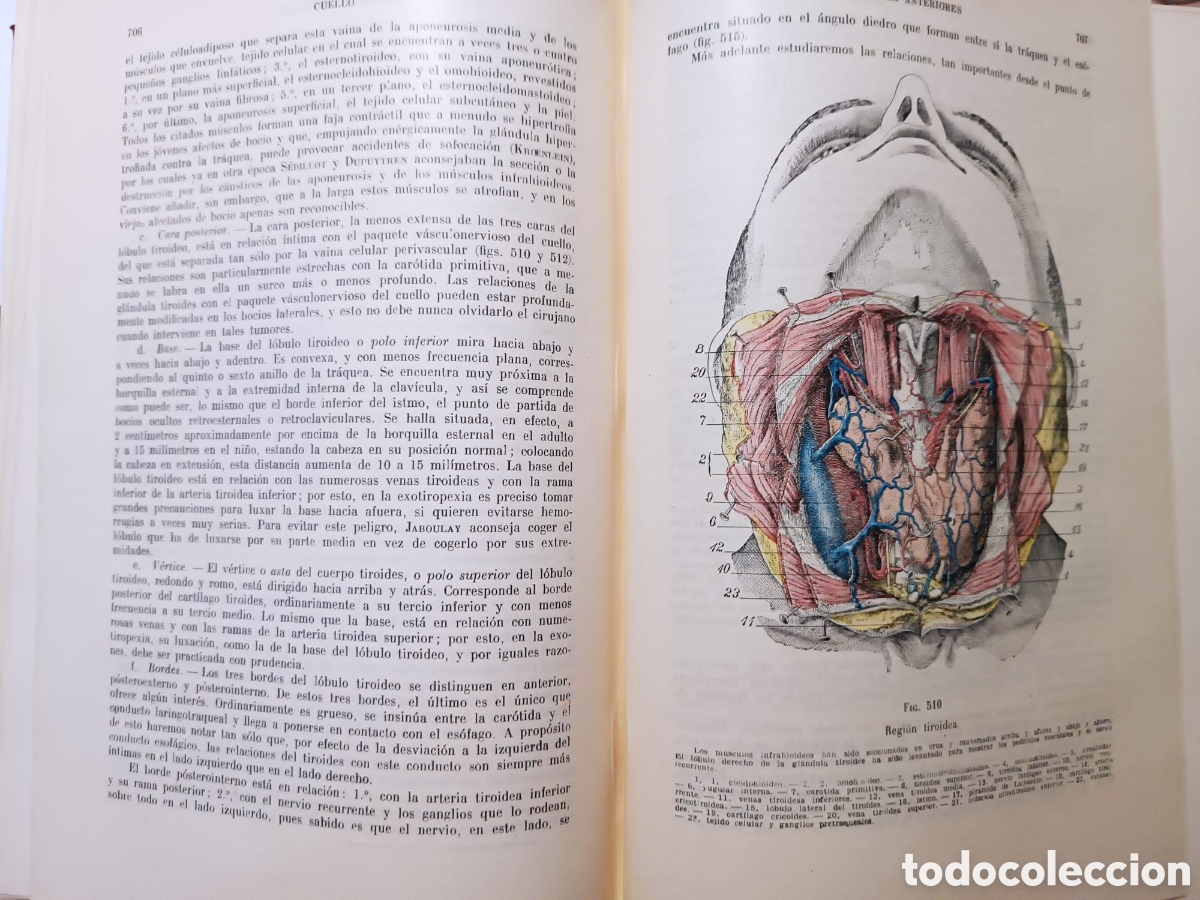 Libros: Tratado de Anatom&iacute;a Topogr&aacute;fica - Foto 7