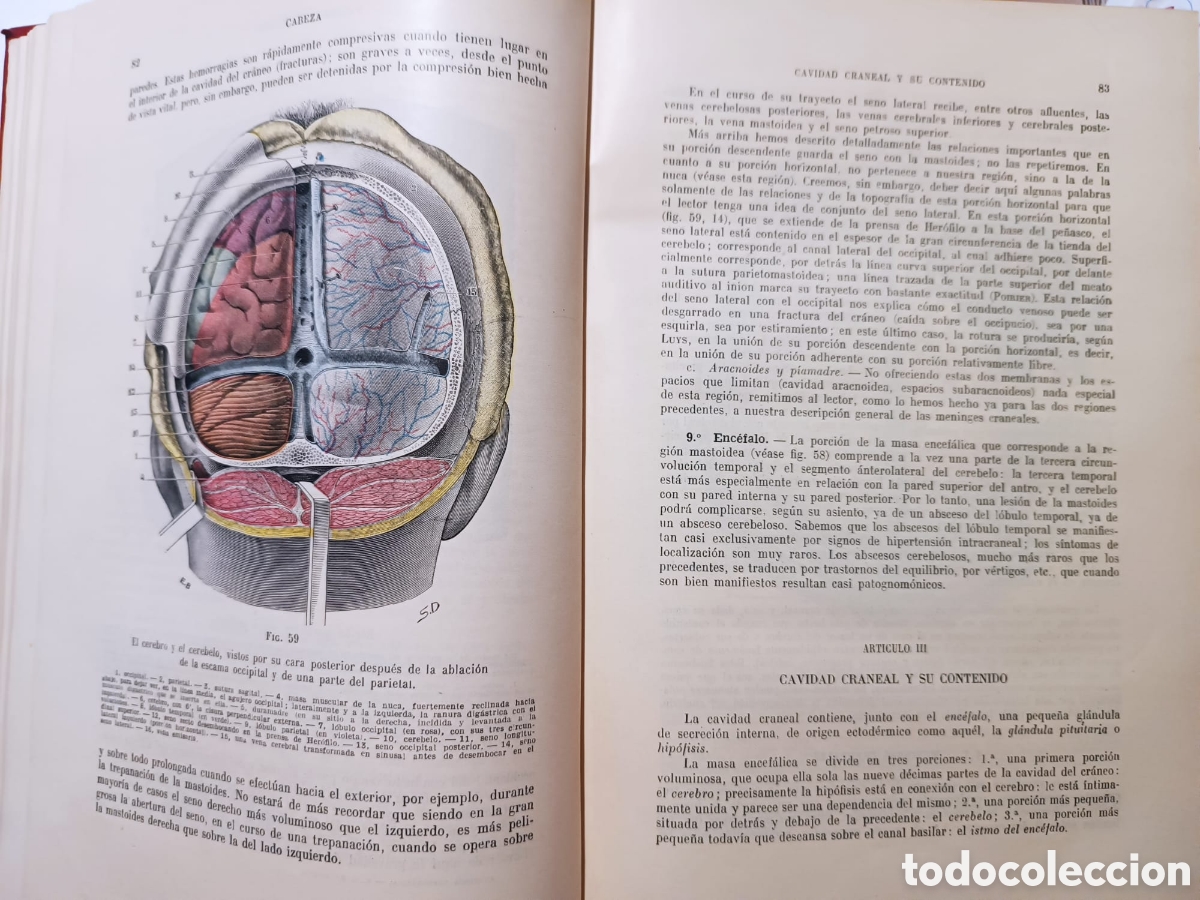 Libros: Tratado de Anatom&iacute;a Topogr&aacute;fica - Foto 9