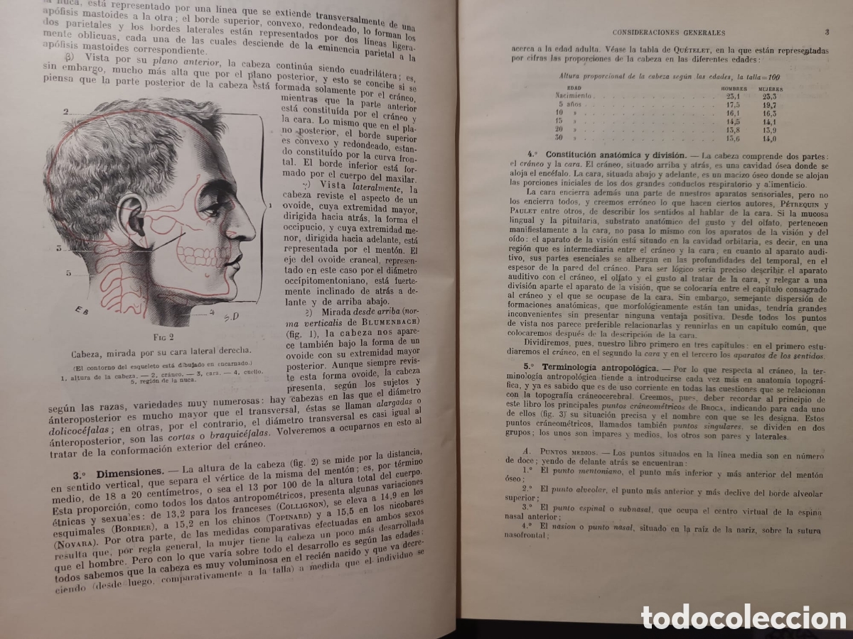 Libros: Tratado de Anatom&iacute;a Topogr&aacute;fica - Foto 10