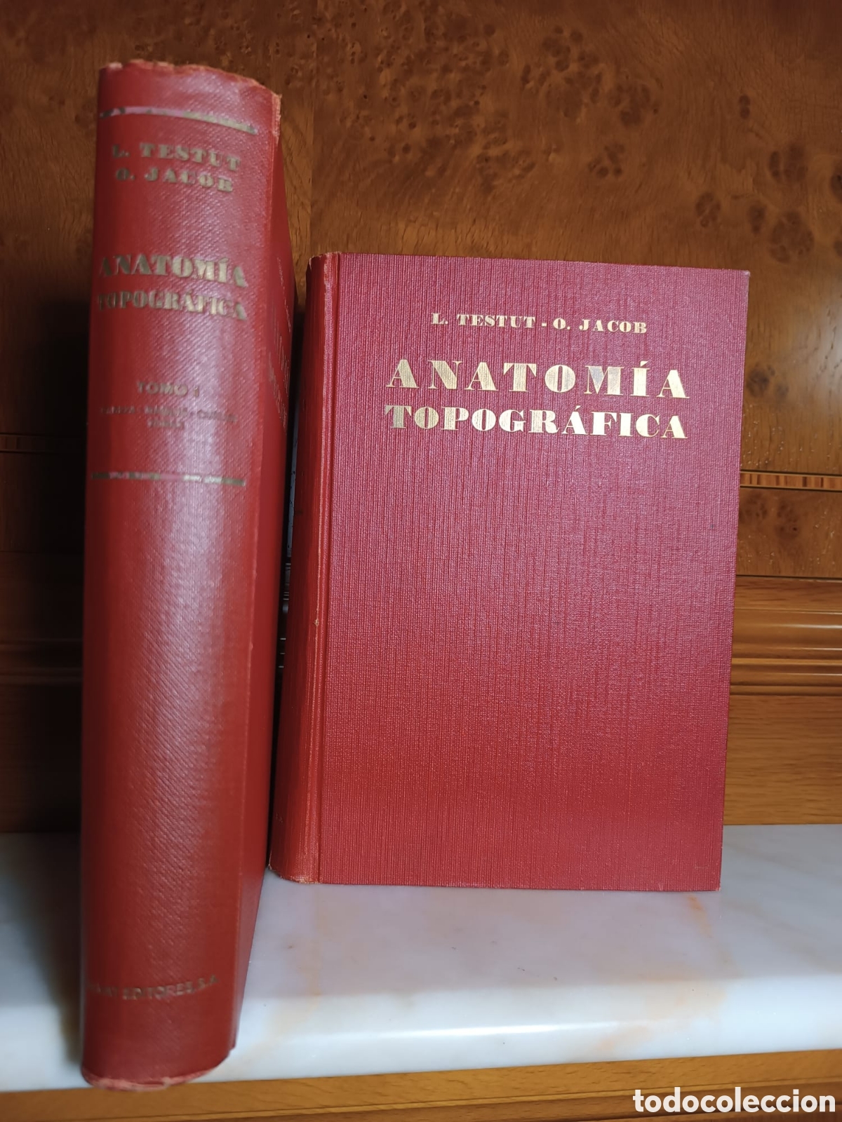 Libros: Tratado de Anatom&iacute;a Topogr&aacute;fica - Foto 1